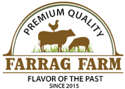 shopLogo